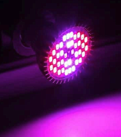 Лампа св/д  E27  30W (40LED SMD) ФИТО "Полн. спекр" (400-840нм) 650Lm 120°  40св/д: 22красн(660нм)/12син(450нм)/2бел/2 тепл.бел/2 ИК(730нм)/2 У