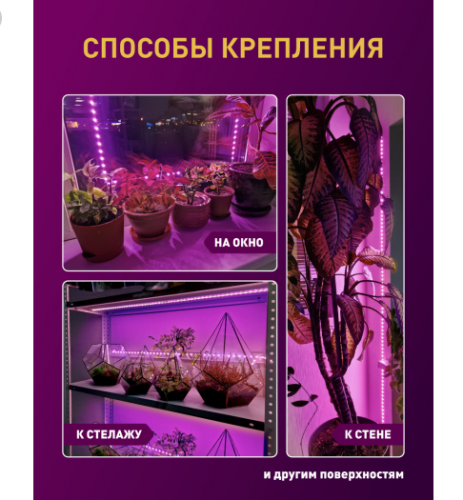 Подсветка набор: св/диодная лента ФИТО (красно-синий спектр)  2метра  IP65 12V 1400K (2835/60 LED) Ширина 8мм  с клеевым слоем;  Питание: 12V; Фотосин фото 3